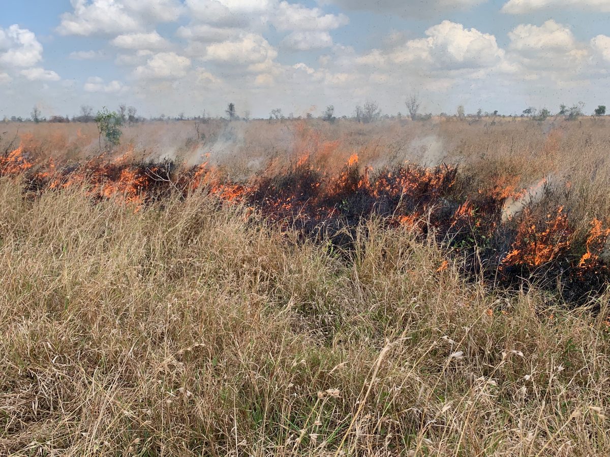 Smoke drifting over a burning African savanna