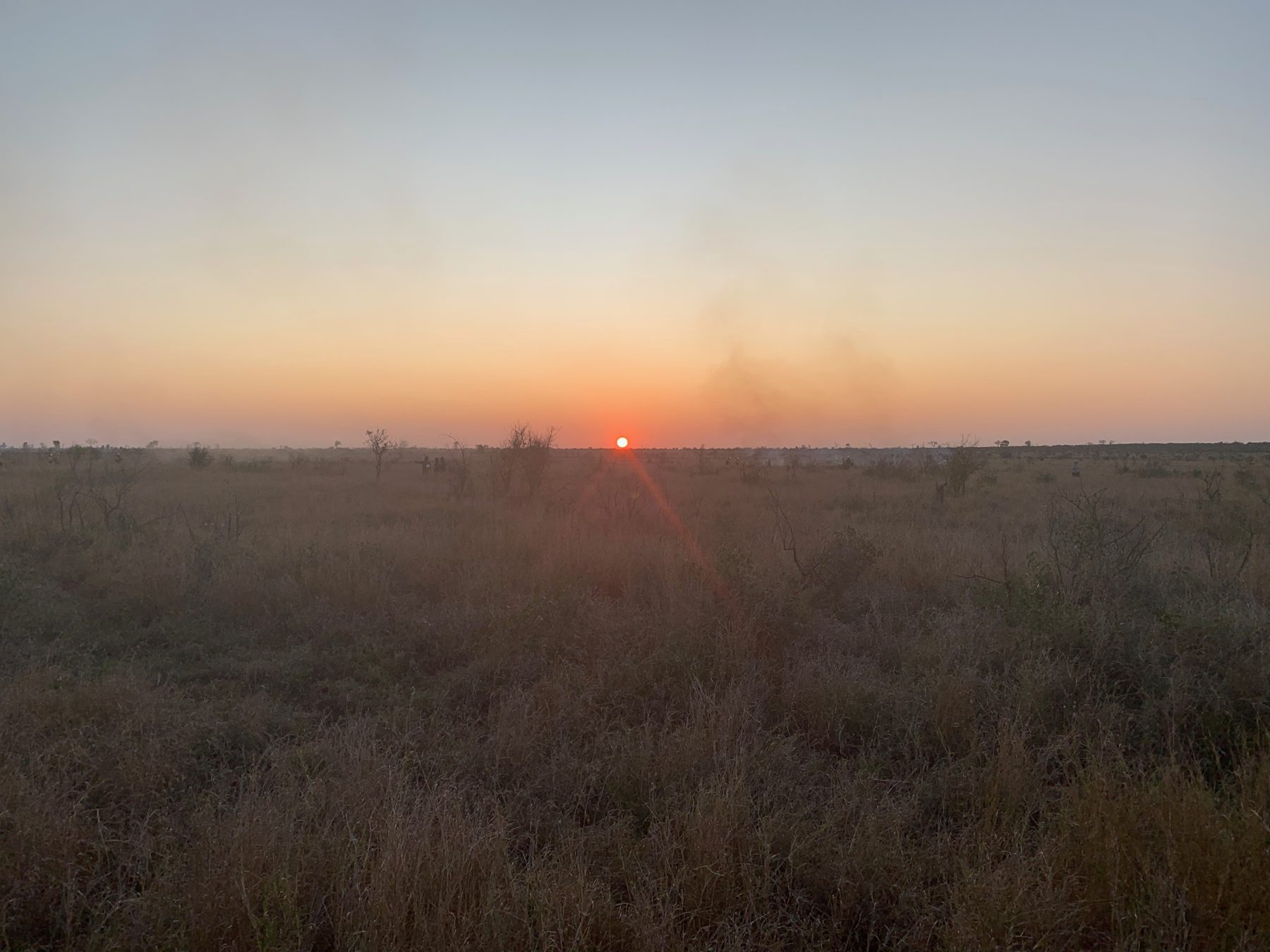 Sunset over the savanna